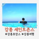 강릉 세인트존스호텔 수영장 가격 준비물 : 아이들이랑 이용 후기 꿀팁