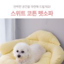 스위트펫 이미지