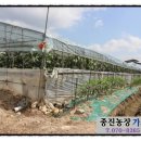 종진농장 이미지