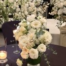 햇살온누리약국 | 2026년 2월 정리, 시간이 왜이렇게 빠르게 가는지 알려줄사람..