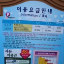 장태산 노랑펜션 | 대전 오월드 동물원과 장태산 노랑펜션 후기