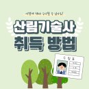 산림기술사자연 | 산림기술사 자격조건부터 취득방법, 목공직업·나무직업 전망 총정리
