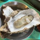 반동여성경로당 | [청수 굴구이] 마산 구산면 청수 굴구이 맛집. 지금 딱 굴 먹기 좋은 시기. 마산 굴구이 맛집