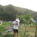 윤화농장 이미지