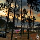 땅끝바다횟집 이미지