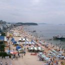 비치파크 이미지