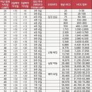 [둘째 임신] 심장소리 듣기 여정