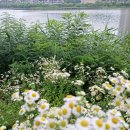 광교호수로-1 이미지