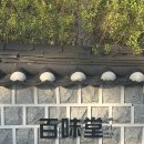 백미당 삼청동점 한옥카페 솔직후기 시그니처 흑율무라떼 아쉬움