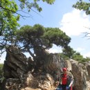 호암약수터 이미지