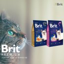 탑펫코리아 네이버블로그