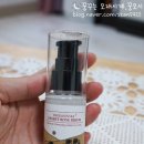 바오밥트리
