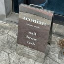 이오니안브로우 | 제주 조천 속눈썹펌 이오니안 2번째 방문후기