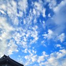 푸른하늘 이미지