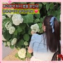 군자역미용실 라청담미용실 미디움기장 자연갈색 두피보호 얼룩없는 새치뿌리염색 후기 범부원장님