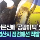 다인유통