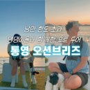 [경남 통영] 🚤 통영 오션브리즈 요트 투어 후기 | 강아지랑 함께한 바다 위 힐링 여행🌊