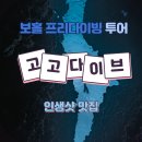 고고투어 - 수영구 남천동로9번길 61 | 보홀 투어 프리다이빙 고고다이브 나팔링 투어 내돈내산후기