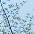이-믿음치과의원 이미지