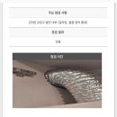 클리어 방역 | 세스코 긴급진단 후기/구독 가격 - 눈물의 바선생 처치 이야기