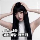 트렌드의원 | 2026 청담 피부과 시술 트렌드 정리