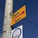 대구경로당 | 대구 / 동구 캠핑장 &#39;초례봉 사과나무&#39; 당일치기 캠크닉 후기