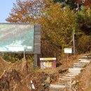 웅천초등학교(건너) 이미지