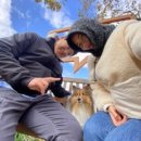 천일목장 이미지