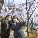 용산-104 이미지