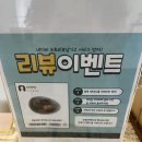 한국지엠영도바로서비스 | 부산 영도 오션뷰 카페 도요 내돈내산 후기