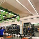 몸가짐 휘트니스 구의점 | 건대 휘트니스 / 몸가짐 휘트니스 / 후기 가격