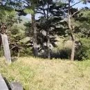 김극뉴 묘역 이미지