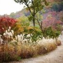 고향생각 이미지