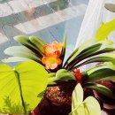 예쁜머리방 이미지