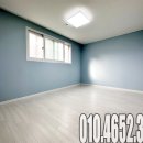 일동알파 이미지