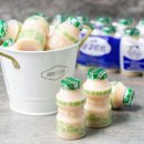 언더더파고라 유유 uu 🥛 시향 후기