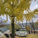 내친구카 | 레이캠핑카 구매 반년(6개월) 후기