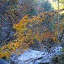 지리산산행[백무동에서,장터목,천왕봉,세석평전 원점산행]2부 이미지