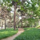 말머리공원 화장실 이미지