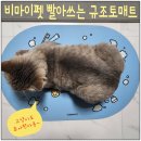 마이펫스토어 | 비마이펫 빨아쓰는 규조토 발매트 후기 | 빨아쓰는 욕실·주방 발매트 추천 - 내돈내산