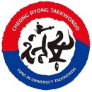 용인대 리더태권도장 이미지