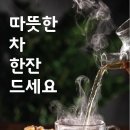 우연과 필연 이미지