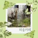 피읖피읖 | 여수 돌산 카페 분위기 좋은 피읖카페 방문후기
