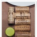 비노바인 이미지