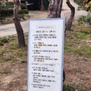 태인 애견 이미지