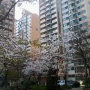 신성뉴타운공인중개사사무소 이미지