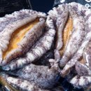 오렌지 수산 이미지