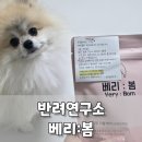봄강아지 | 강아지 눈물 영양제, 피부와 피모 건강까지 챙긴 베리봄 후기