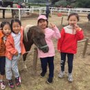 어론초등학교 이미지