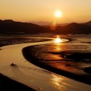 순천만둥지 이미지